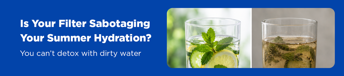 5 Refreshing Recipes That Taste Better With Fridge-Filtered Water